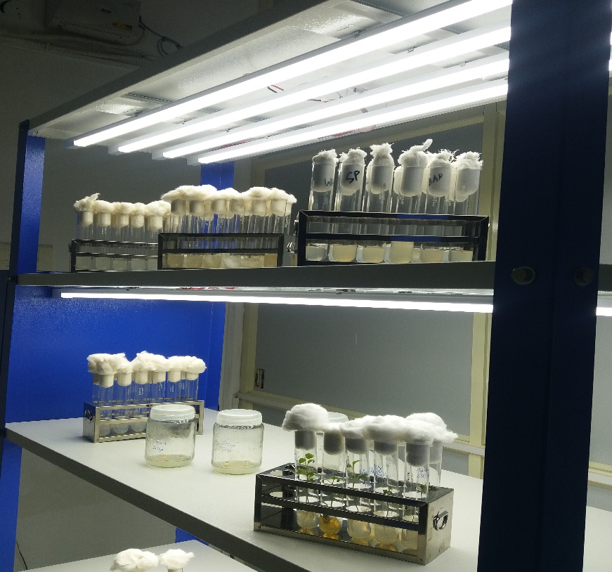 Best and Top Arts and Science College in Salem, Tamil Nadu, India